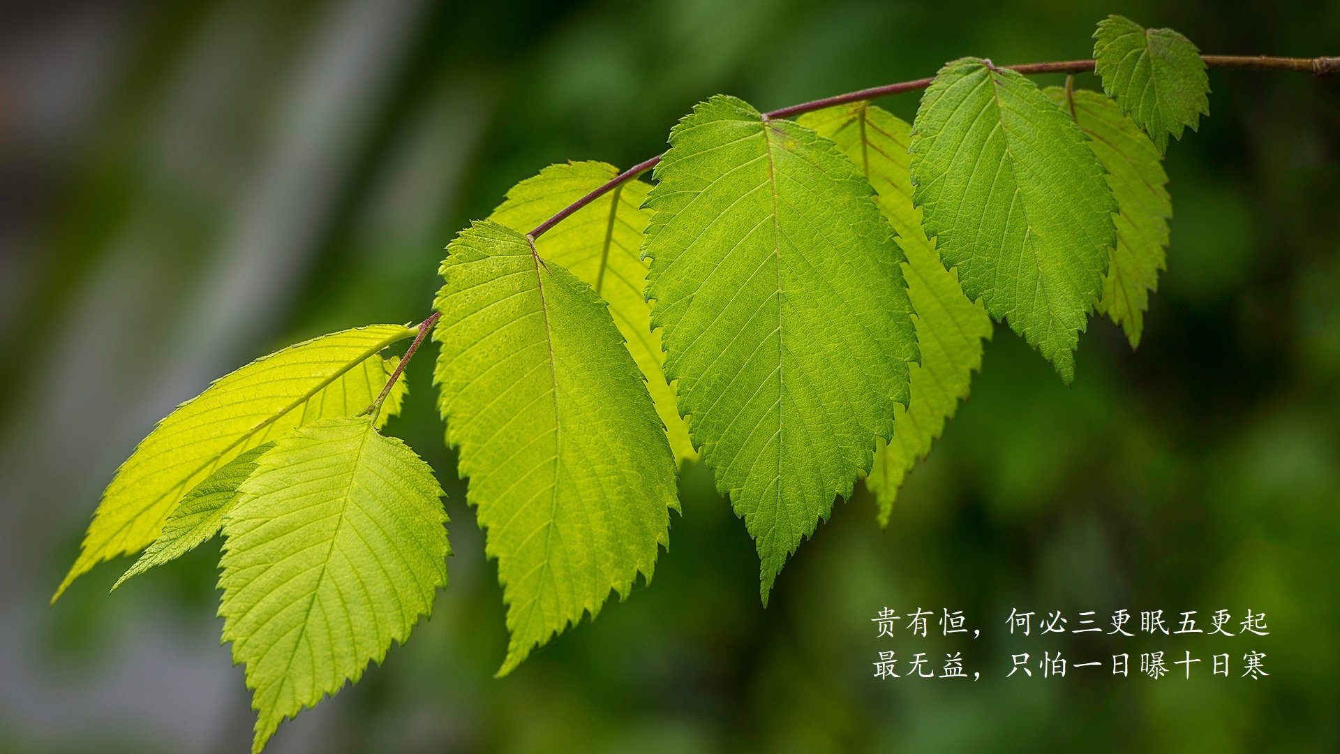 支持瑜伽产业发展，推动经济增长，瑜伽市场