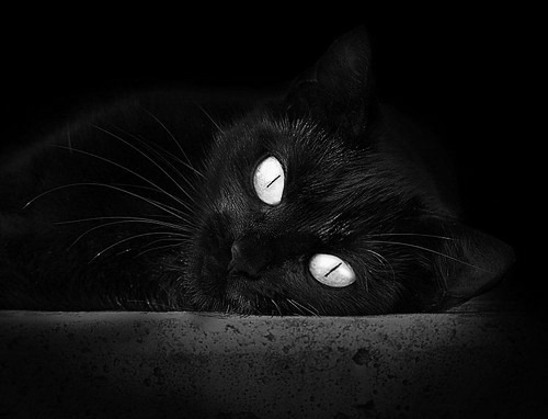 意甲突击猛攻：一突即破，精彩纷呈！，意甲6.2秒
