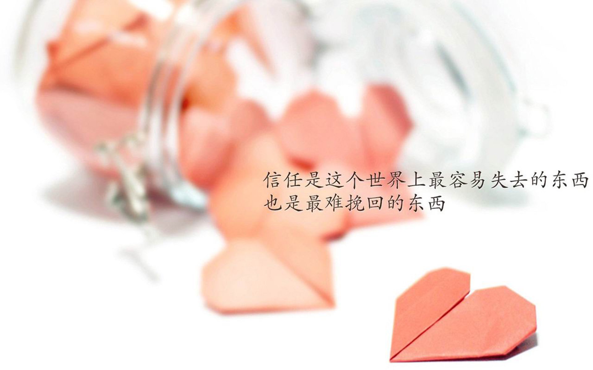 柯尔赞赛场风采尽显未来冠军潜质，柯尔嫚这个品牌怎么样