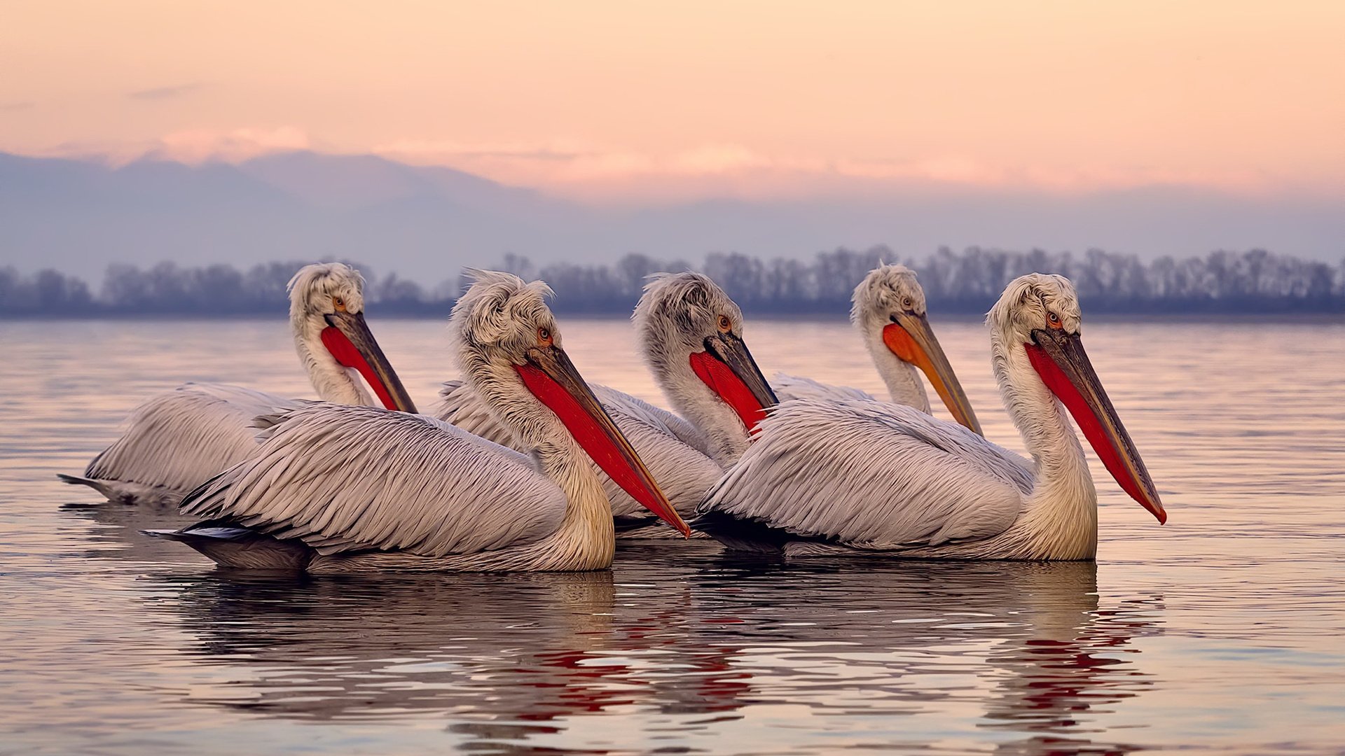 开云官网-裁判判罚标准趋于稳定为比赛营造更加公平竞争环境，裁判的规则